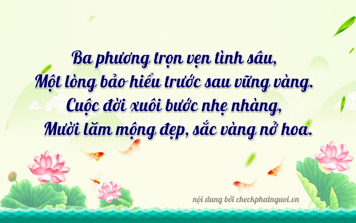 Bài thơ ý nghĩa cho <b>biển số 61K-03115</b> tại website checkphatnguoi.vn