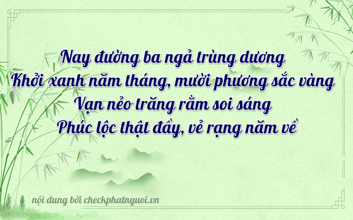 Bài thơ ý nghĩa cho <b>biển số 61NA-03075</b> tại website checkphatnguoi.vn