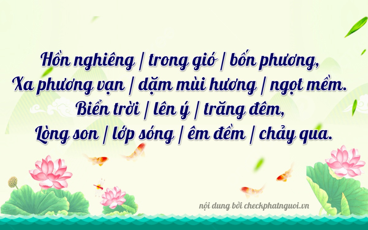 Bài thơ ý nghĩa cho <b>biển số 62A-27545</b> tại website checkphatnguoi.vn