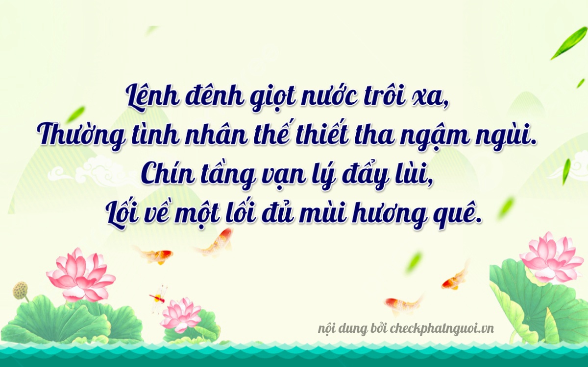 Bài thơ ý nghĩa cho <b>biển số 62C-12960</b> tại website checkphatnguoi.vn