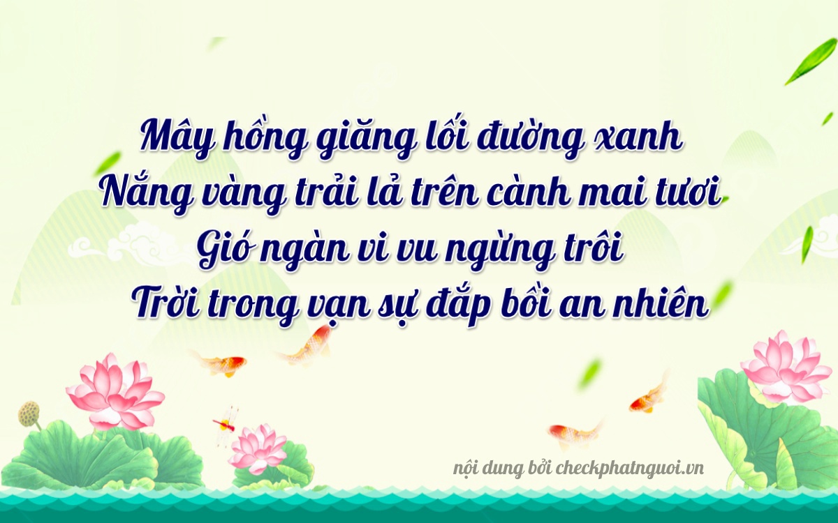 Bài thơ ý nghĩa cho <b>biển số 62D1-24544</b> tại website checkphatnguoi.vn