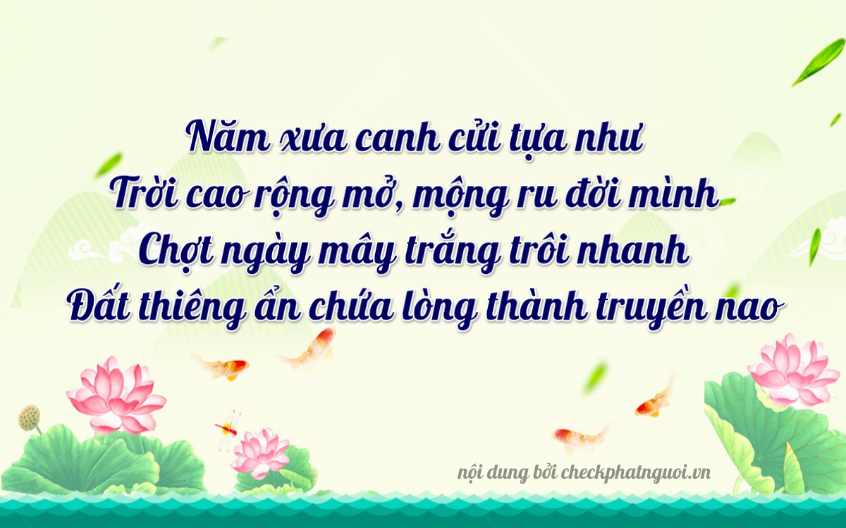 Bài thơ ý nghĩa cho <b>biển số 62H-05079</b> tại website checkphatnguoi.vn