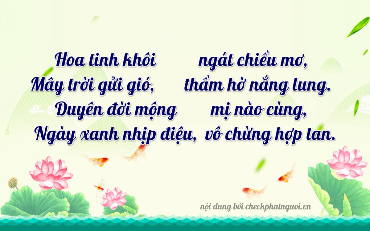 Bài thơ ý nghĩa cho <b>biển số 62M2-02771</b> tại website checkphatnguoi.vn