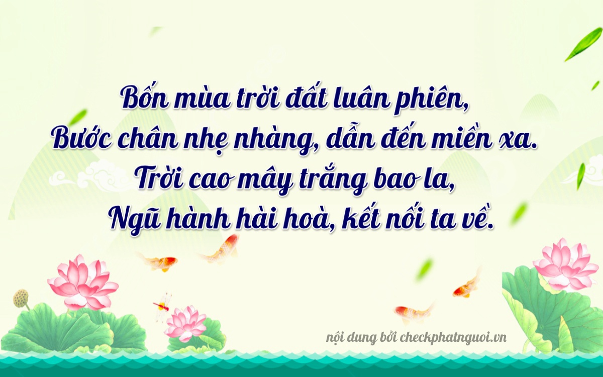 Bài thơ ý nghĩa cho <b>biển số 62N1-44605</b> tại website checkphatnguoi.vn