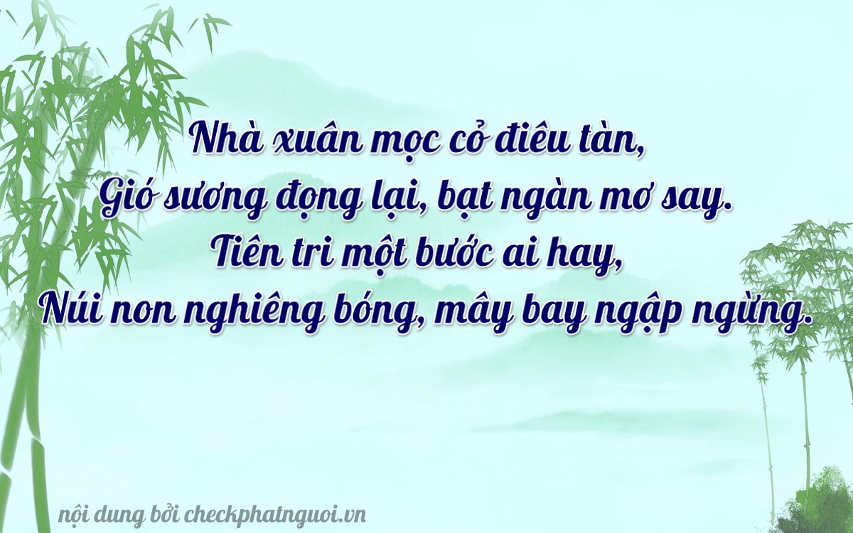 Bài thơ ý nghĩa cho <b>biển số 62P1-13535</b> tại website checkphatnguoi.vn