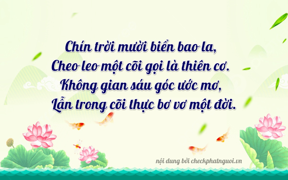 Bài thơ ý nghĩa cho <b>biển số 63B1-91096</b> tại website checkphatnguoi.vn