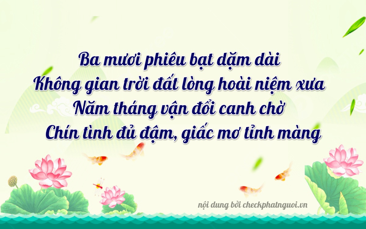 Bài thơ ý nghĩa cho <b>biển số 63B2-30539</b> tại website checkphatnguoi.vn