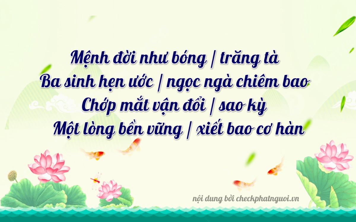 Bài thơ ý nghĩa cho <b>biển số 63C1-33003</b> tại website checkphatnguoi.vn