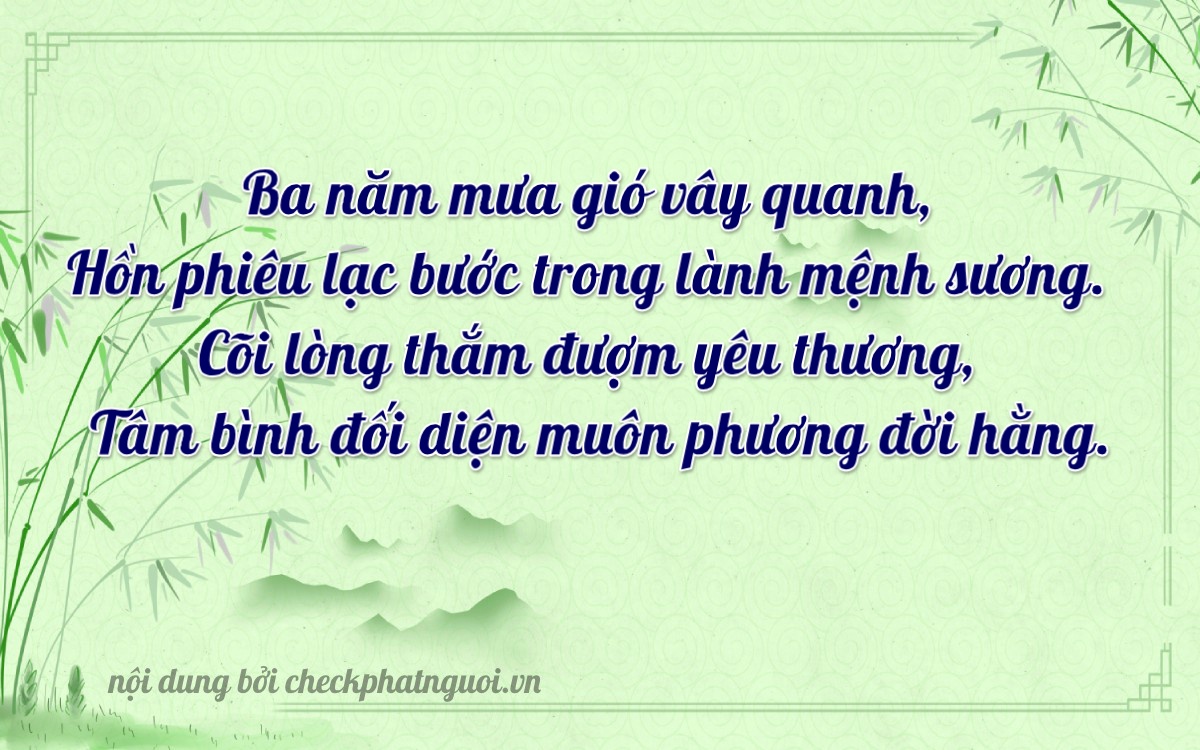 Bài thơ ý nghĩa cho <b>biển số 65A-33007</b> tại website checkphatnguoi.vn
