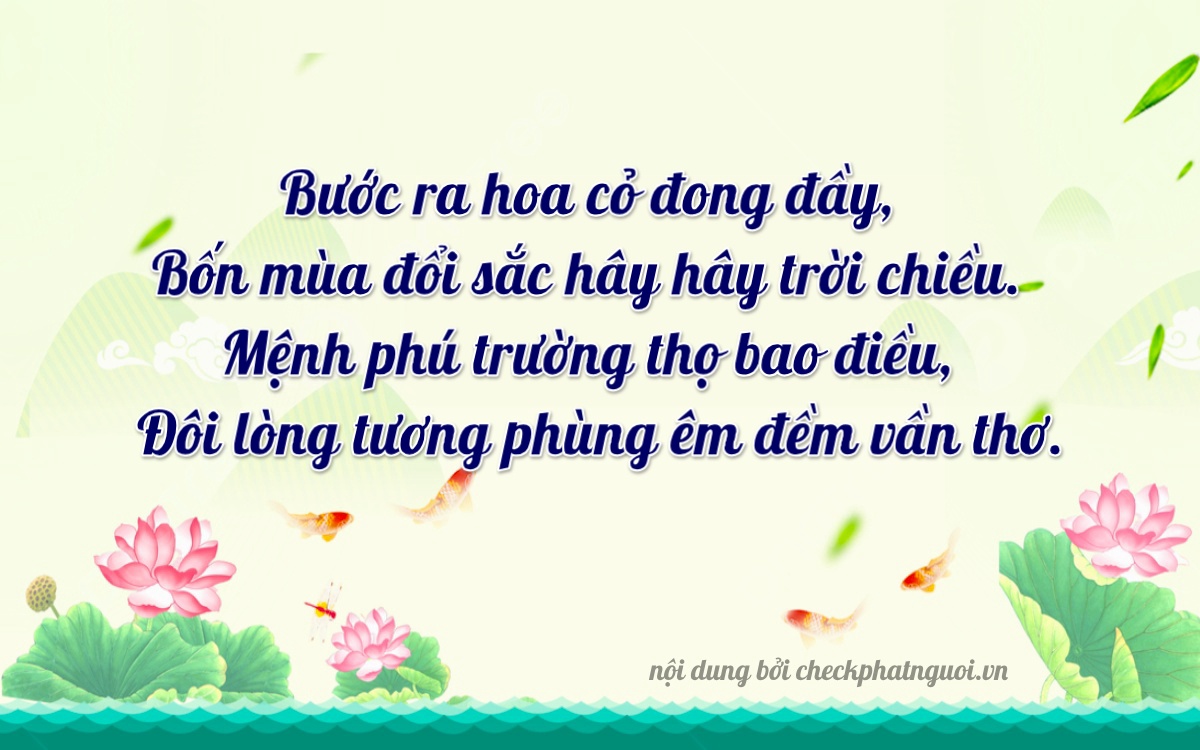 Bài thơ ý nghĩa cho <b>biển số 65A-39222</b> tại website checkphatnguoi.vn