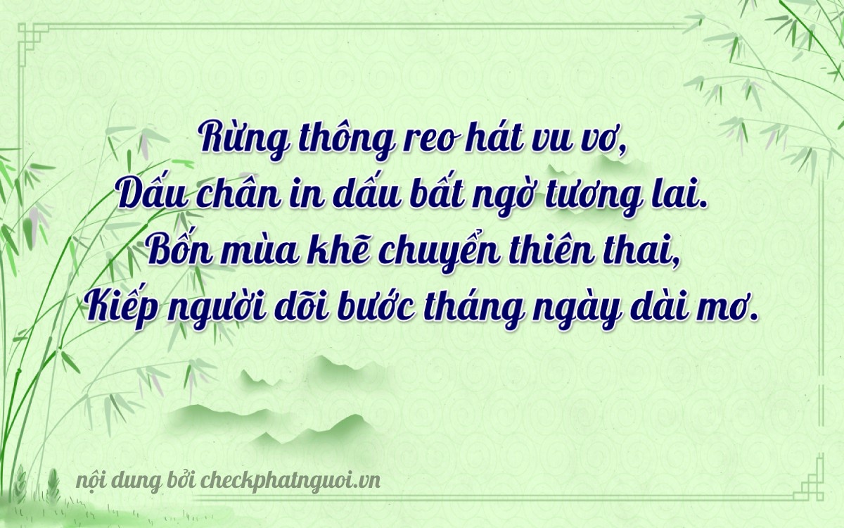 Bài thơ ý nghĩa cho <b>biển số 65A-45175</b> tại website checkphatnguoi.vn