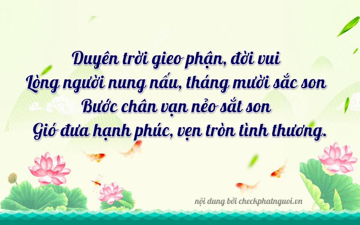 Bài thơ ý nghĩa cho <b>biển số 65AA-62310</b> tại website checkphatnguoi.vn