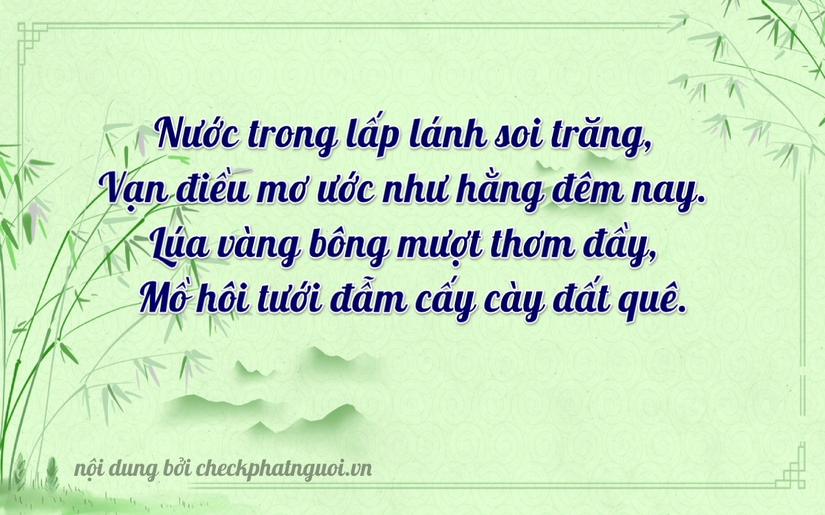 Bài thơ ý nghĩa cho <b>biển số 65B1-31321</b> tại website checkphatnguoi.vn