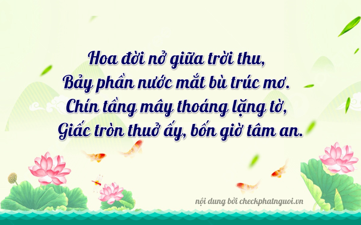 Bài thơ ý nghĩa cho <b>biển số 65B1-89774</b> tại website checkphatnguoi.vn