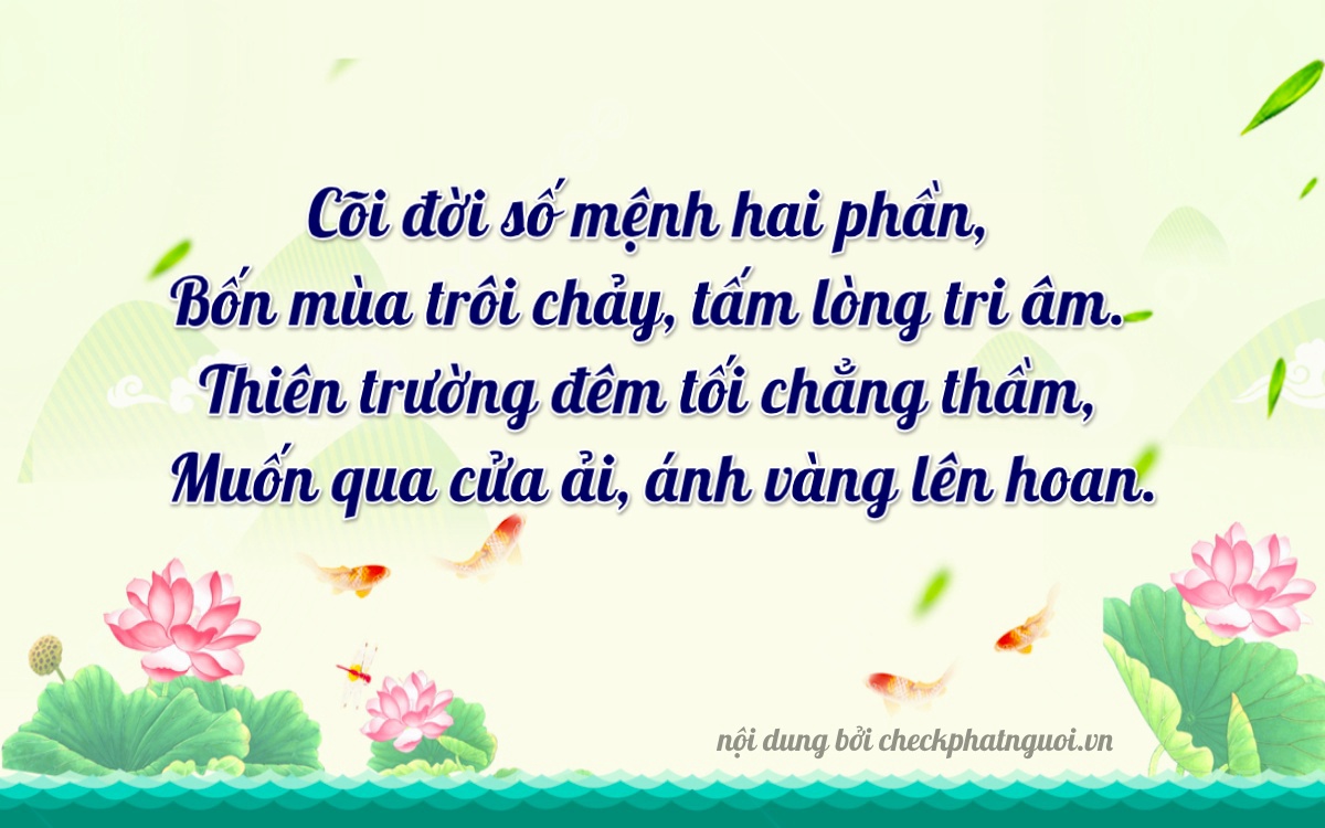 Bài thơ ý nghĩa cho <b>biển số 65B2-14082</b> tại website checkphatnguoi.vn