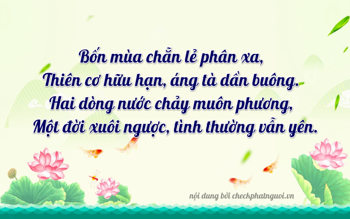 Bài thơ ý nghĩa cho <b>biển số 65B2-40213</b> tại website checkphatnguoi.vn