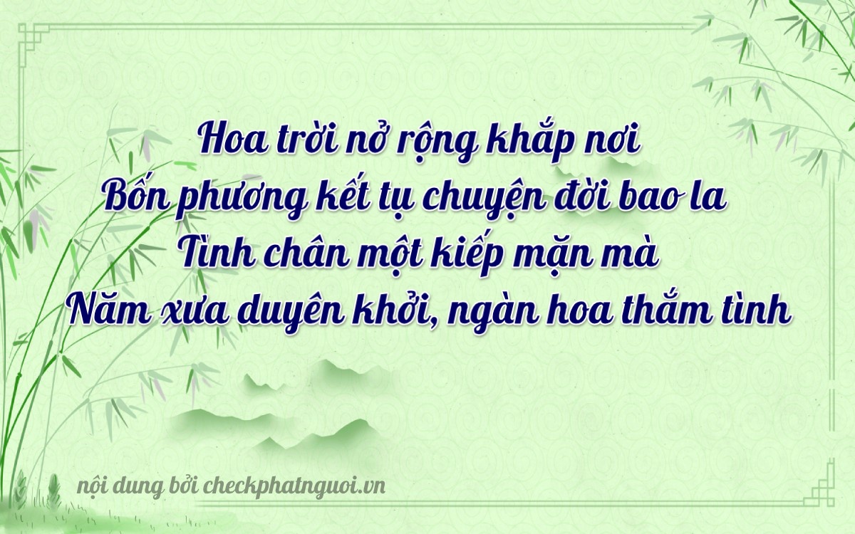 Bài thơ ý nghĩa cho <b>biển số 65B2-44585</b> tại website checkphatnguoi.vn
