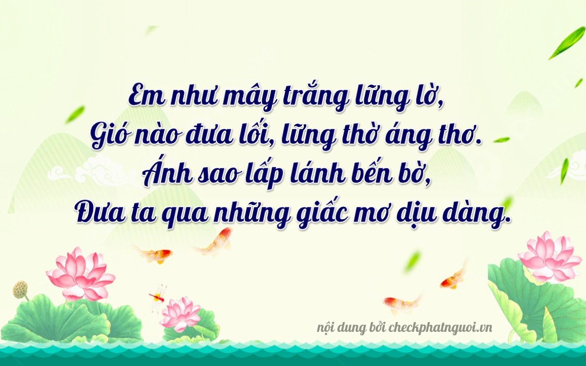 Bài thơ ý nghĩa cho <b>biển số 65C-09928</b> tại website checkphatnguoi.vn