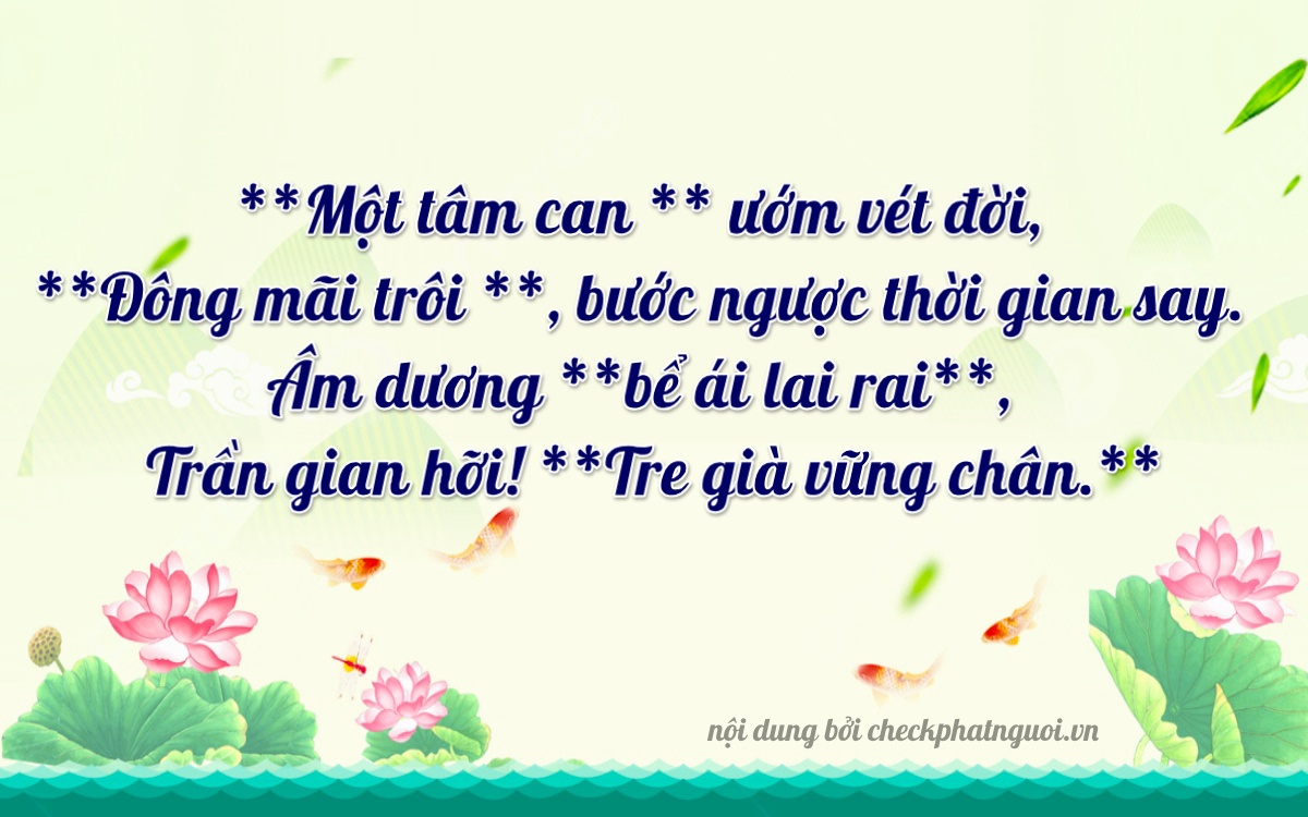 Bài thơ ý nghĩa cho <b>biển số 65D1-10814</b> tại website checkphatnguoi.vn