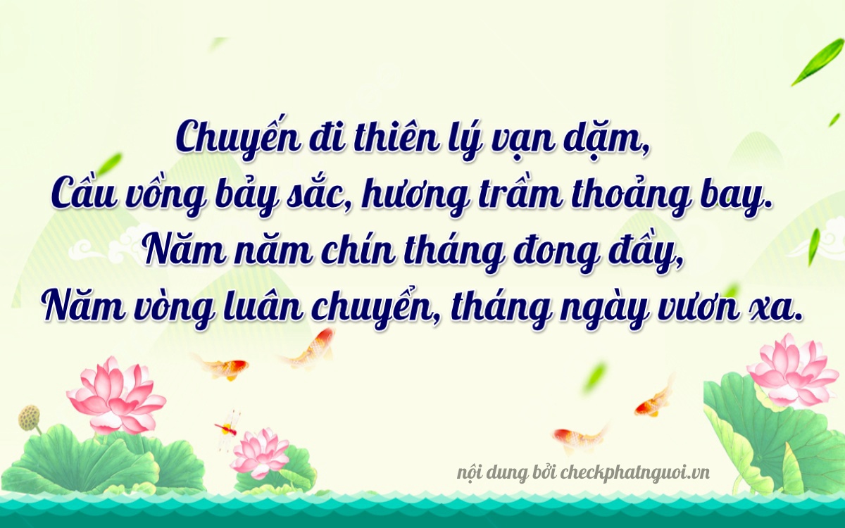Bài thơ ý nghĩa cho <b>biển số 65D1-16705</b> tại website checkphatnguoi.vn