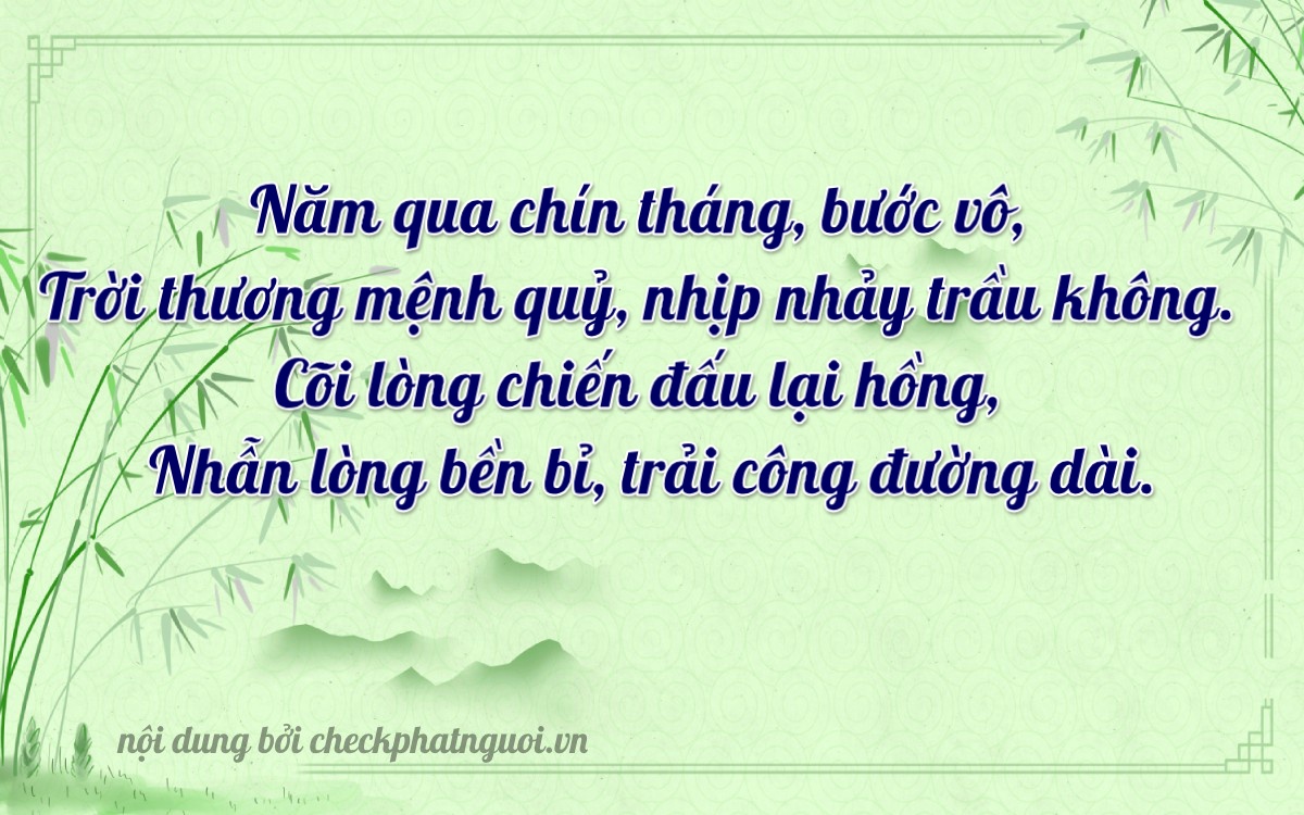 Bài thơ ý nghĩa cho <b>biển số 65D1-53999</b> tại website checkphatnguoi.vn