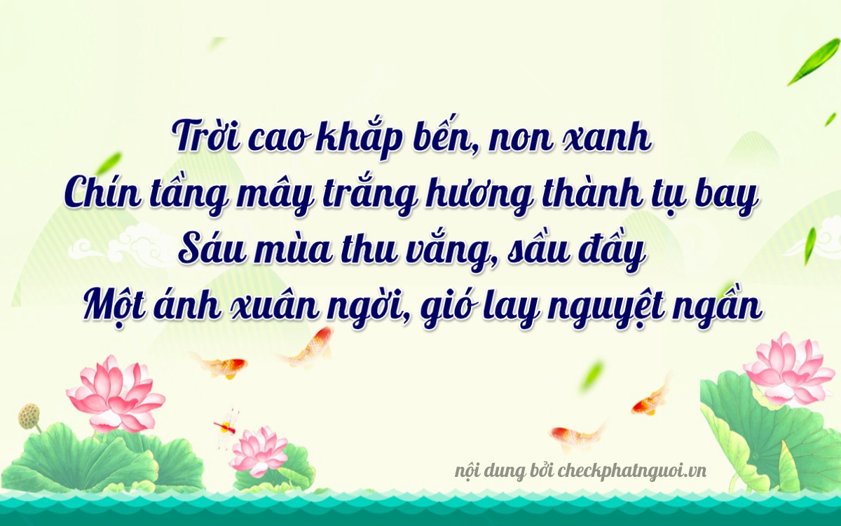 Bài thơ ý nghĩa cho <b>biển số 65GA-09611</b> tại website checkphatnguoi.vn