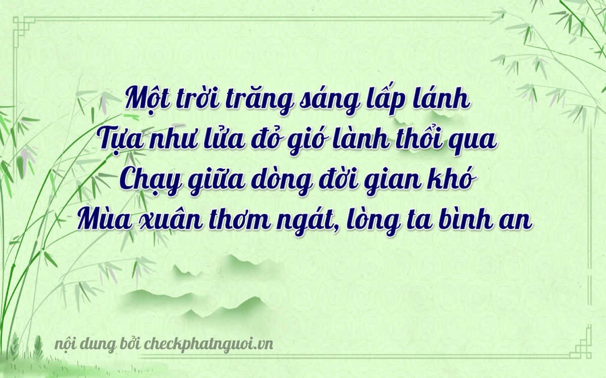 Bài thơ ý nghĩa cho <b>biển số 65MA-11421</b> tại website checkphatnguoi.vn