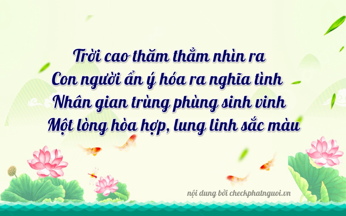 Bài thơ ý nghĩa cho <b>biển số 65P-13021</b> tại website checkphatnguoi.vn