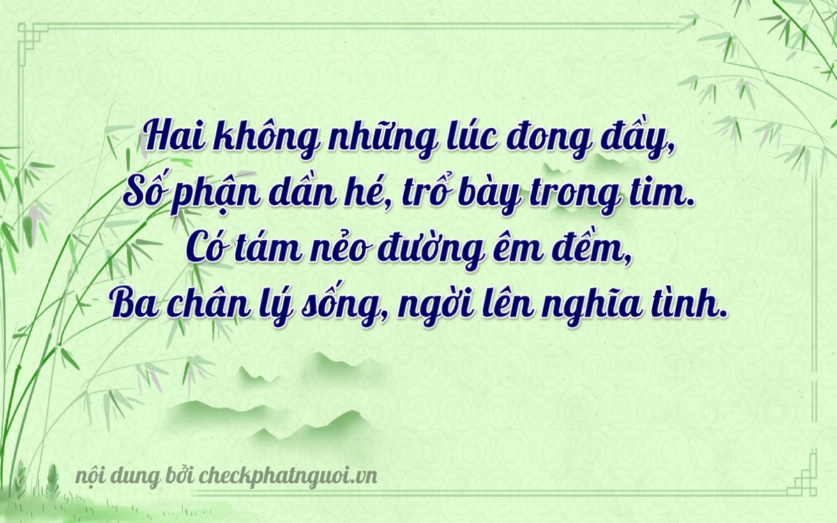 Bài thơ ý nghĩa cho <b>biển số 66A-20838</b> tại website checkphatnguoi.vn