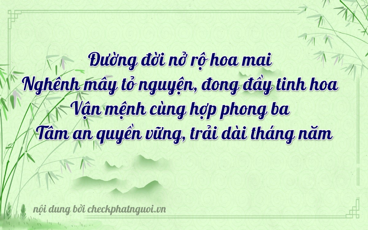 Bài thơ ý nghĩa cho <b>biển số 67A-20241</b> tại website checkphatnguoi.vn