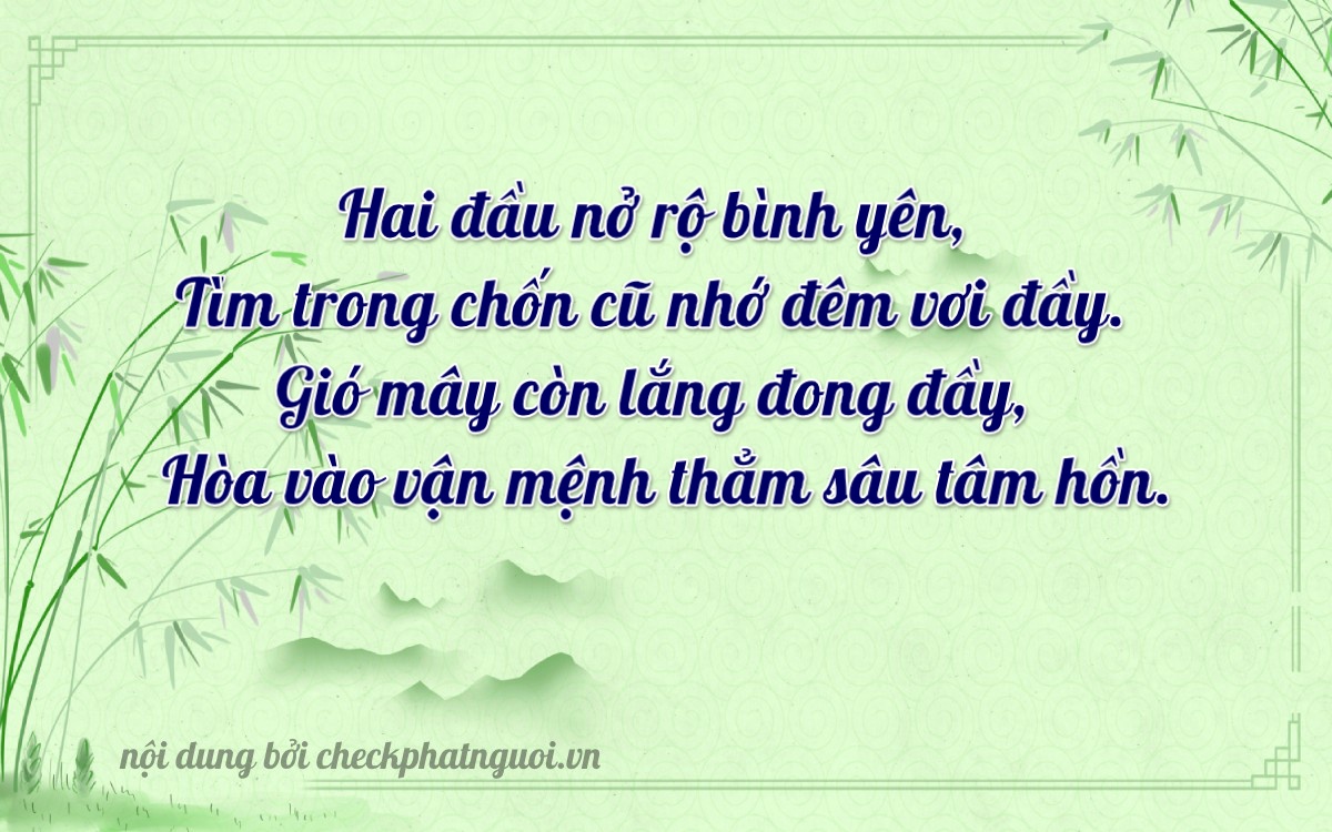 Bài thơ ý nghĩa cho <b>biển số 67B1-40003</b> tại website checkphatnguoi.vn