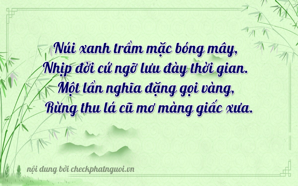 Bài thơ ý nghĩa cho <b>biển số 67B2-29161</b> tại website checkphatnguoi.vn
