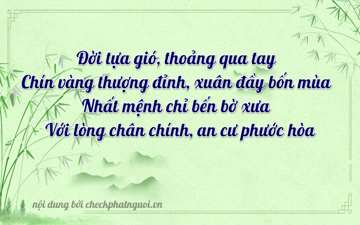 Bài thơ ý nghĩa cho <b>biển số 67B2-49121</b> tại website checkphatnguoi.vn