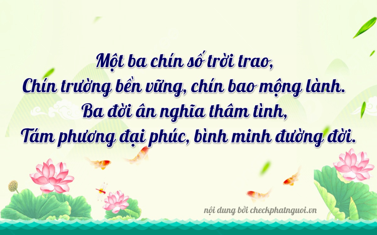 Bài thơ ý nghĩa cho <b>biển số 67D1-13938</b> tại website checkphatnguoi.vn