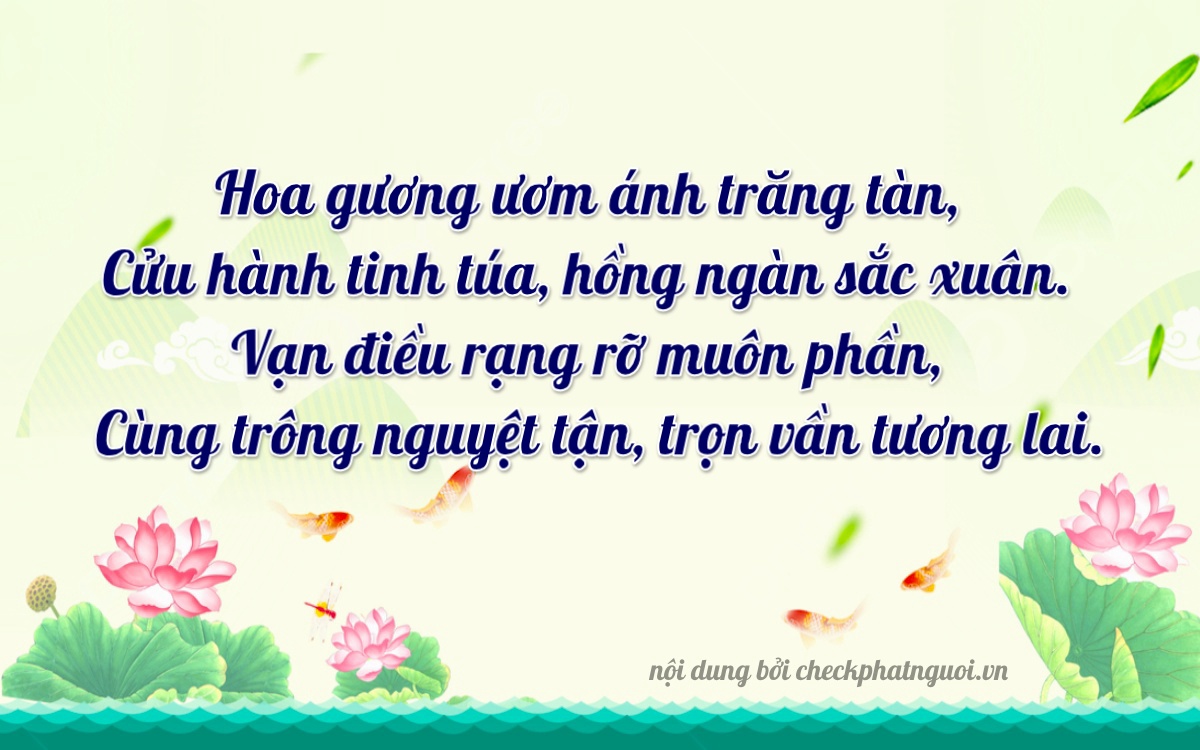 Bài thơ ý nghĩa cho <b>biển số 67D2-23909</b> tại website checkphatnguoi.vn