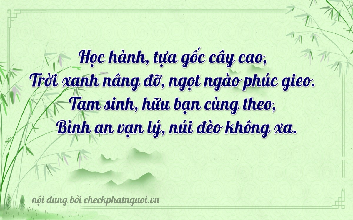 Bài thơ ý nghĩa cho <b>biển số 69B1-11419</b> tại website checkphatnguoi.vn