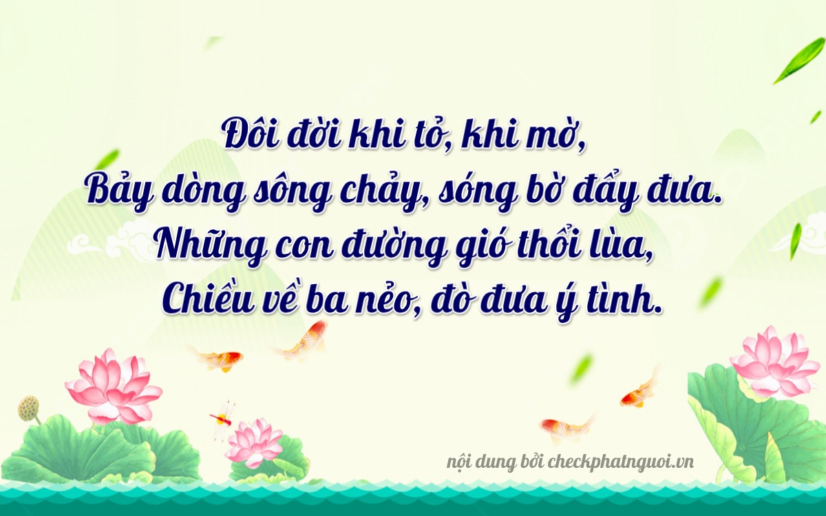 Bài thơ ý nghĩa cho <b>biển số 70A-20693</b> tại website checkphatnguoi.vn