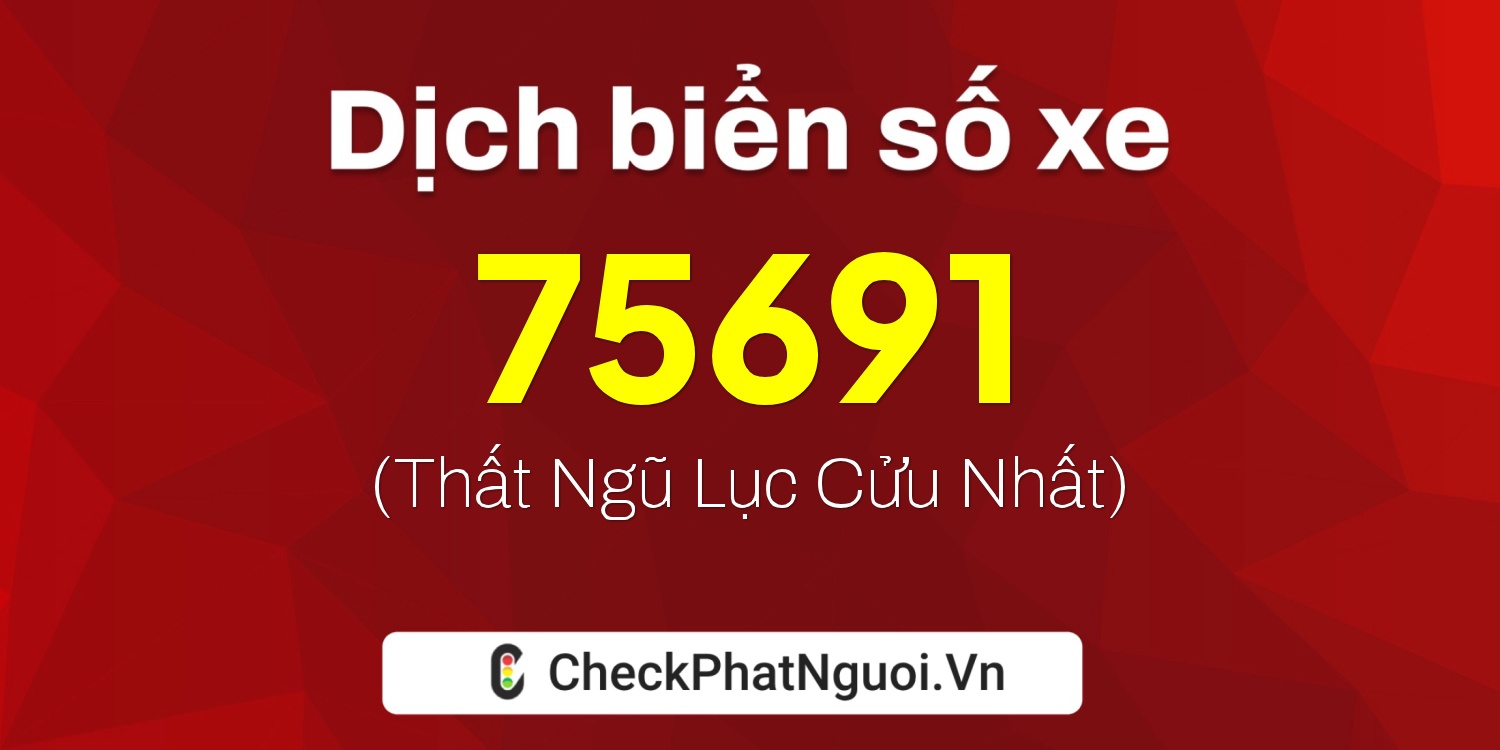 Dịch ý nghĩa <b>biển số xe 30L-75691</b> tại website checkphatnguoi.vn
