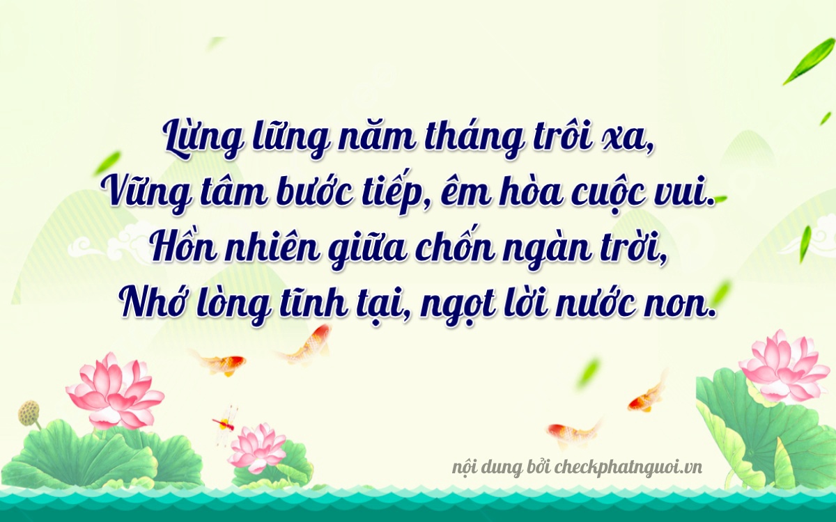 Bài thơ ý nghĩa cho <b>biển số 75A-05209</b> tại website checkphatnguoi.vn