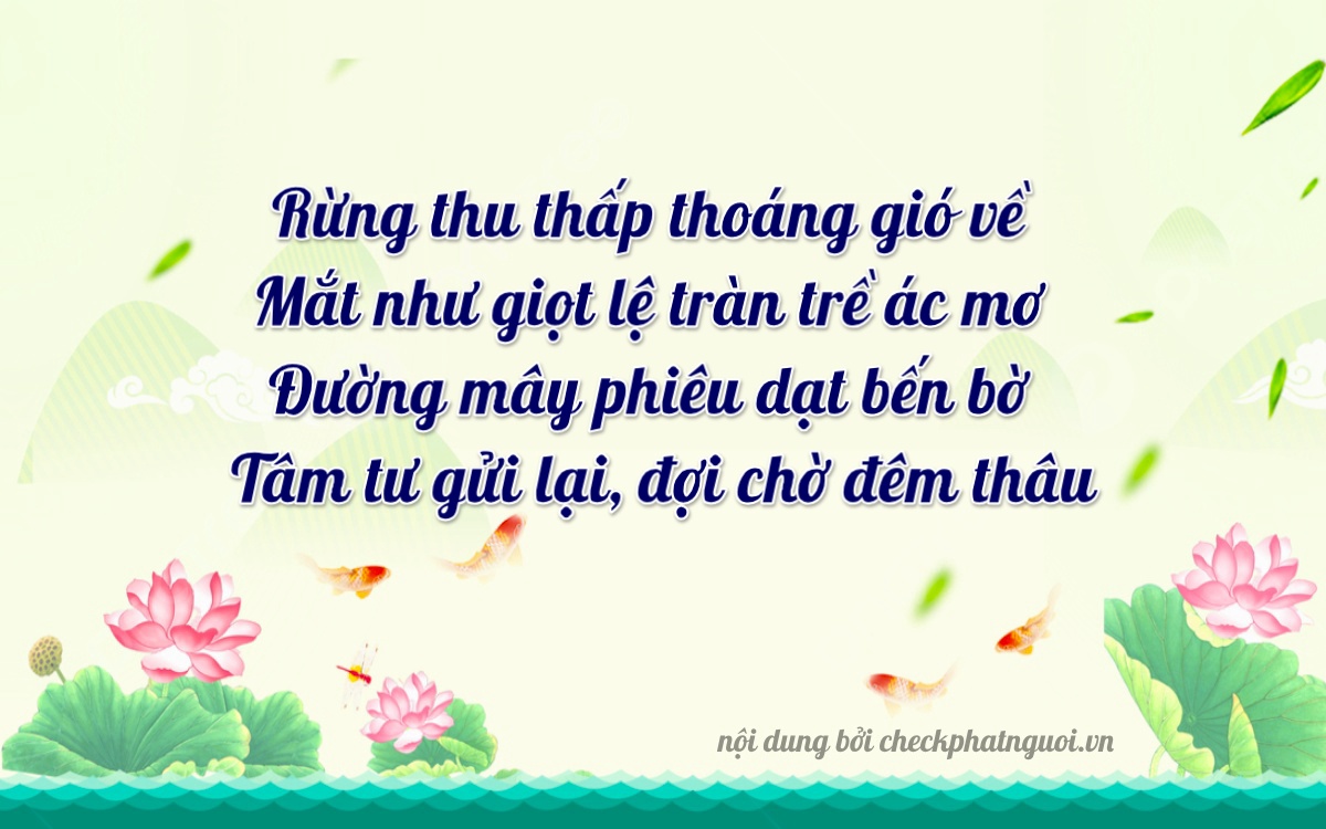 Bài thơ ý nghĩa cho <b>biển số 76A-24824</b> tại website checkphatnguoi.vn
