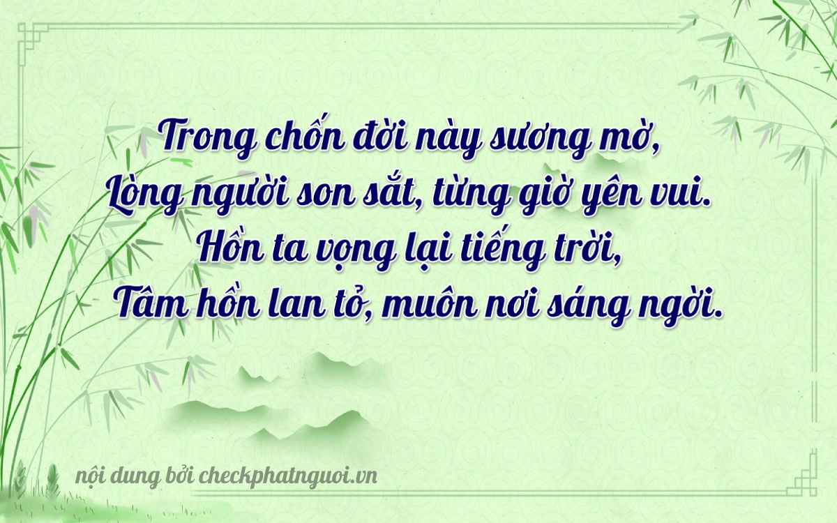 Bài thơ ý nghĩa cho <b>biển số 76A-25793</b> tại website checkphatnguoi.vn