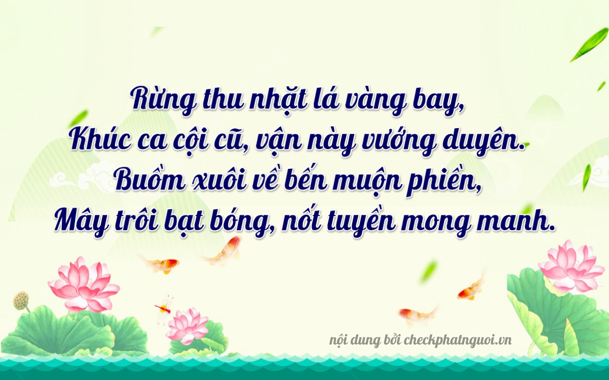 Bài thơ ý nghĩa cho <b>biển số 77D1-71919</b> tại website checkphatnguoi.vn