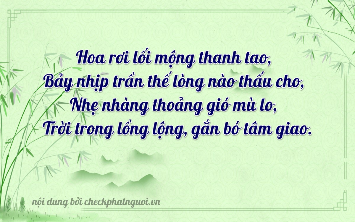 Bài thơ ý nghĩa cho <b>biển số 77D1-72467</b> tại website checkphatnguoi.vn