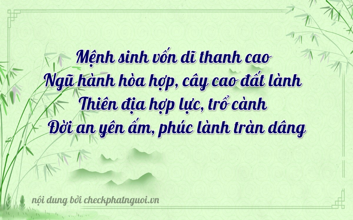 Bài thơ ý nghĩa cho <b>biển số 79A-32133</b> tại website checkphatnguoi.vn