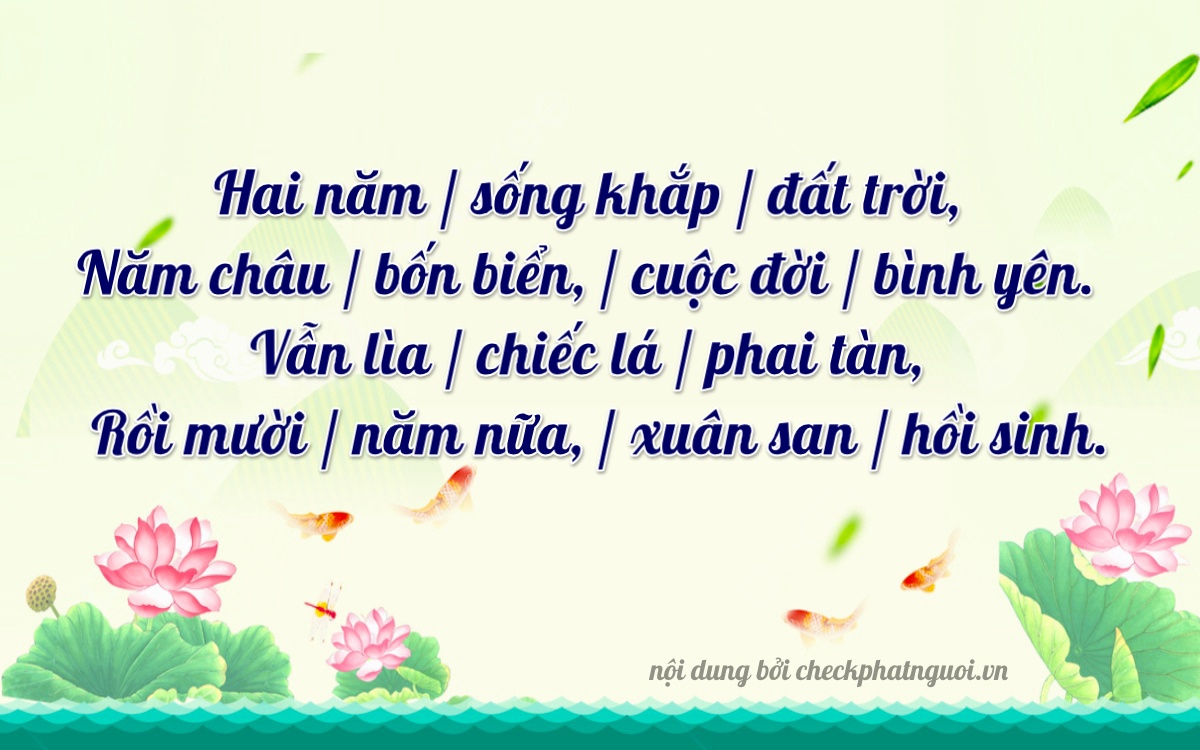 Bài thơ ý nghĩa cho <b>biển số 79C1-25916</b> tại website checkphatnguoi.vn