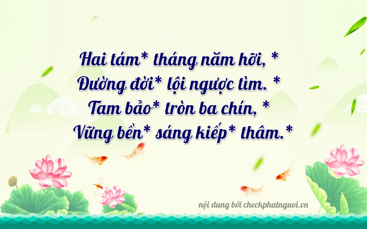 Bài thơ ý nghĩa cho <b>biển số 79C1-28359</b> tại website checkphatnguoi.vn