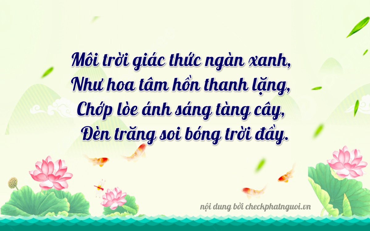 Bài thơ ý nghĩa cho <b>biển số 79D1-14291</b> tại website checkphatnguoi.vn