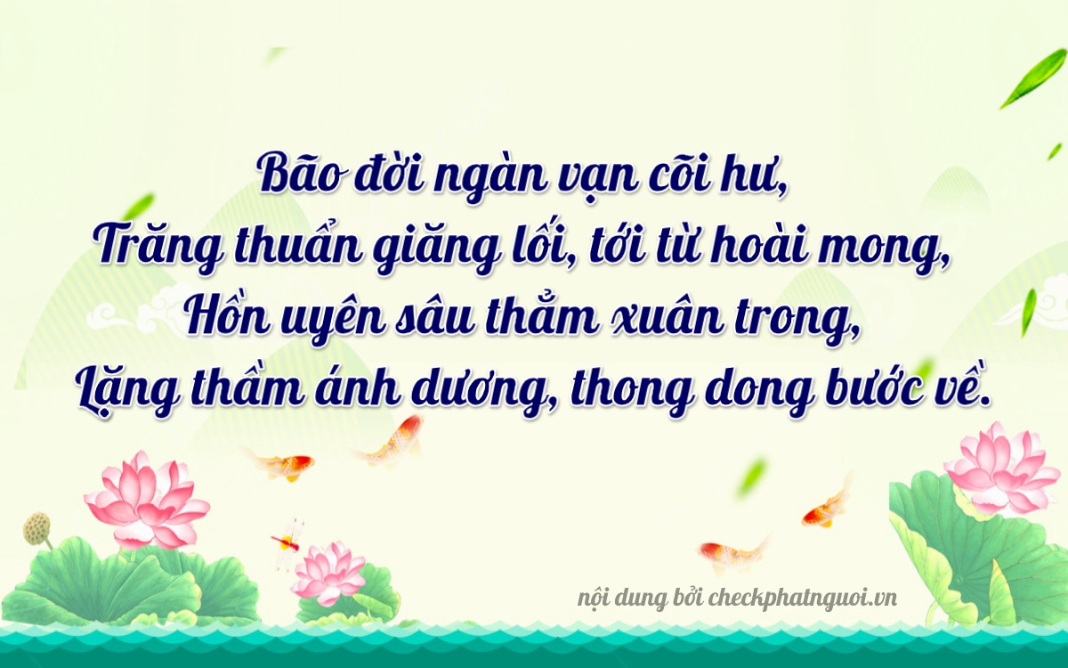 Bài thơ ý nghĩa cho <b>biển số 79N1-02006</b> tại website checkphatnguoi.vn