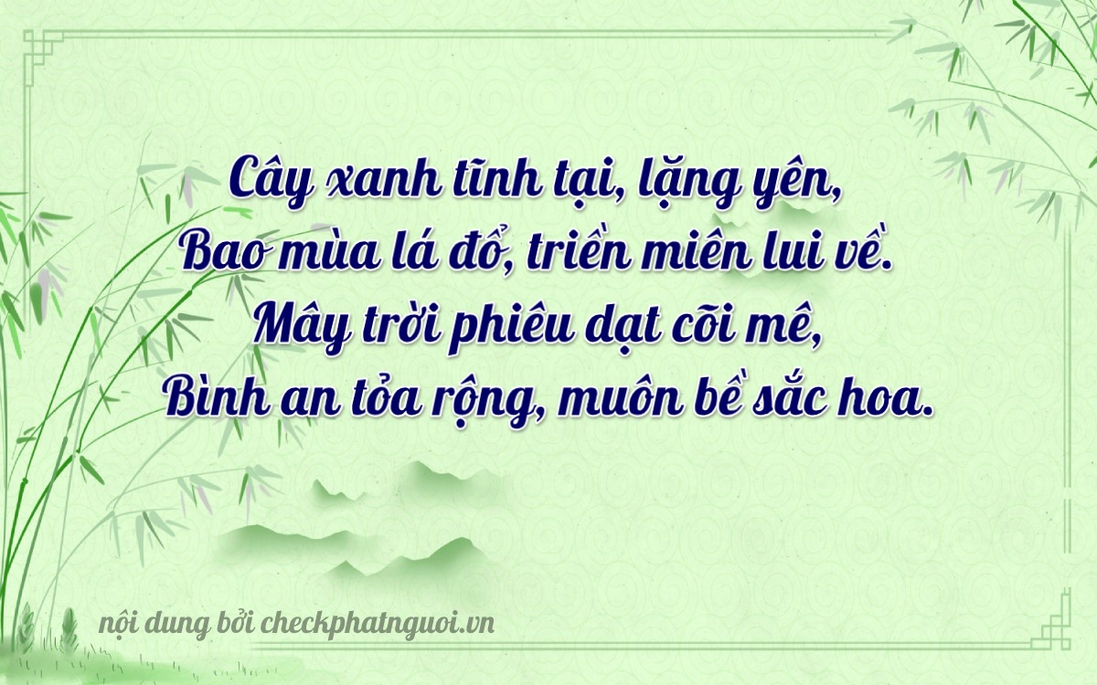 Bài thơ ý nghĩa cho <b>biển số 79T-23456</b> tại website checkphatnguoi.vn
