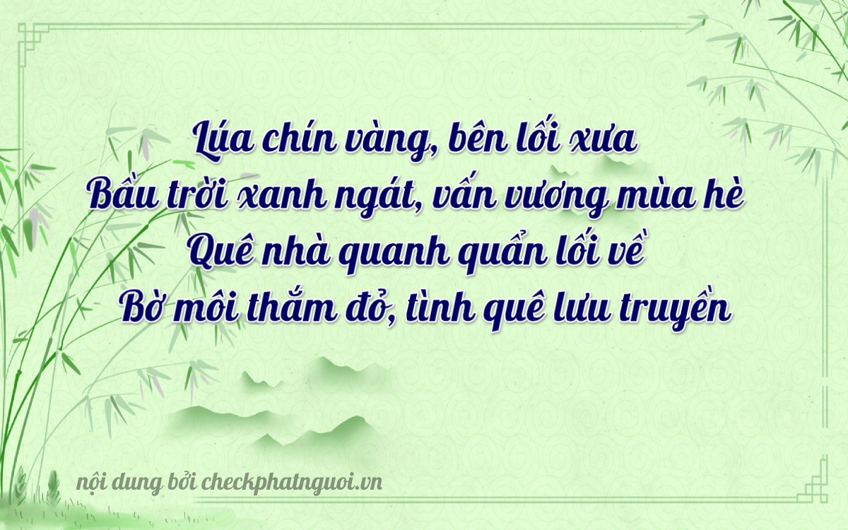 Bài thơ ý nghĩa cho <b>biển số 81A-28095</b> tại website checkphatnguoi.vn
